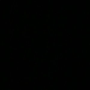 Meet your Posher, Larese